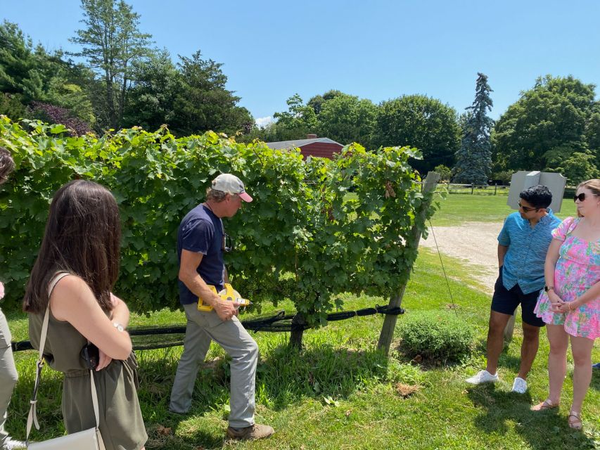 NYC: Long Island Sommelier-Guided Wine Tasting Tour - Leaving Midtown on a comfortable coach