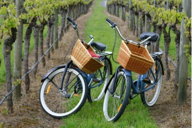 Private Guided Wine Country Bike Tour in Mattituck - Why a bicycle is a smart way to see the North Fork