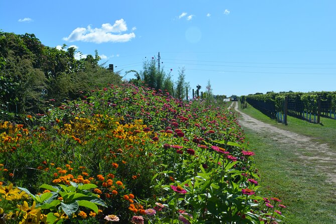 Private Guided Wine Country Bike Tour in Mattituck - Wickham’s Fruit Farm for a change of pace