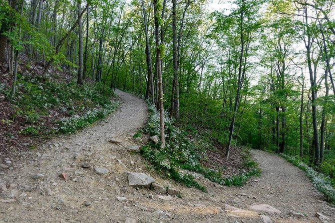 Private Hike/Wineries/Walkway Over the Hudson/1 night Hotel - Booking details worth checking first