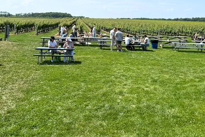 Private Luxury Wine Tours of Long Island Pindar Winery - Lenz and Long Island’s early wine story